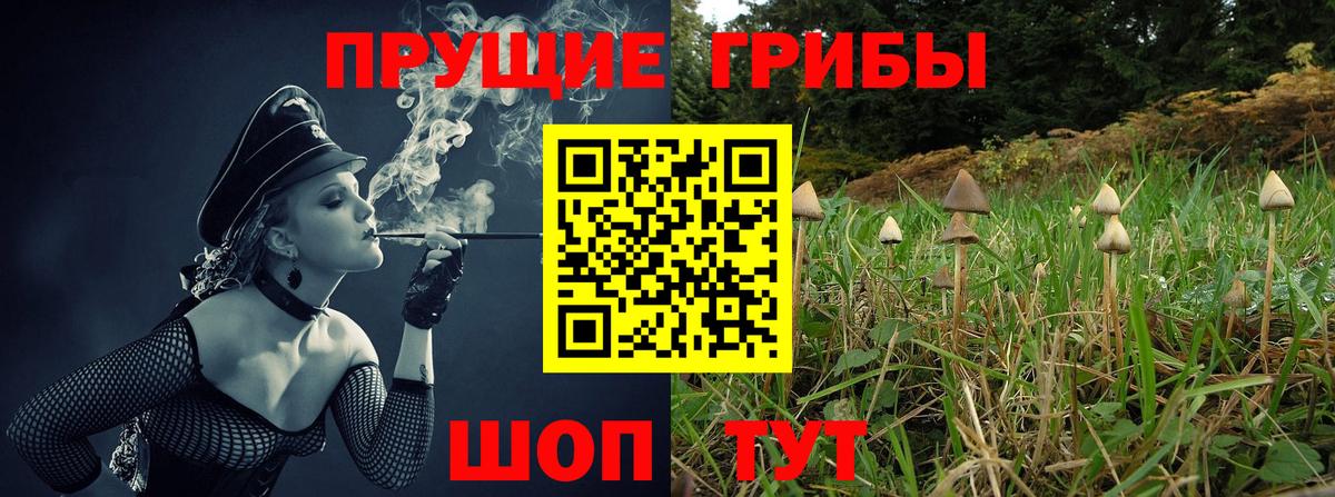 Мценск  Псилоцибиновые грибы Psilocybe  Вход с VPN 